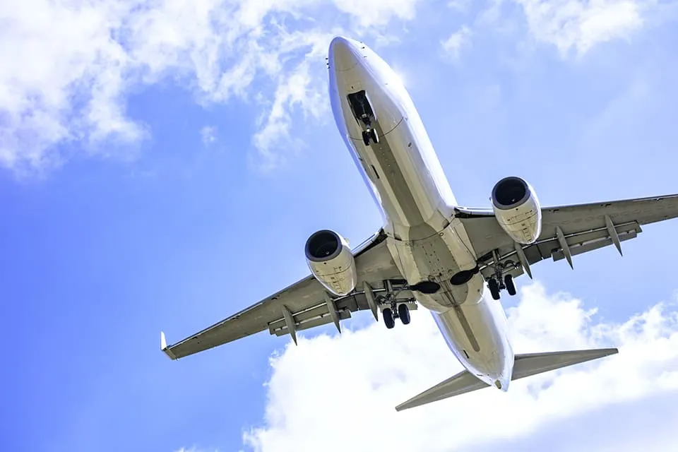 留学事業のイメージ